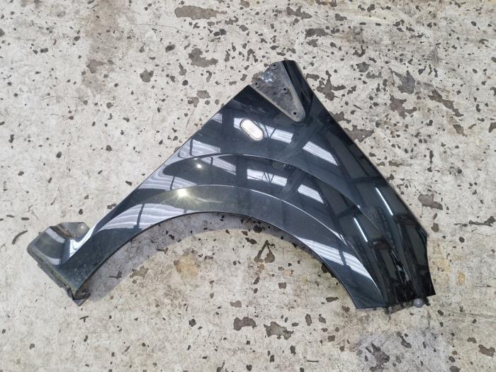 Scherm rechts-voor van een Renault Twingo II (CN) 1.2 2009