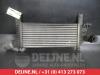 Intercooler van een Nissan Navara (D40), 2005 2.5 dCi 16V 4x4, Pick-up, Diesel, 2.488cc, 140kW (190pk), 4x4, YD25DDTI, 2009-12, D40 2011