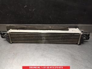 Chevrolet Captiva Intercooler O339106 foto 2