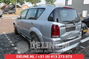 Ssang Yong Rexton Portierruit 4Deurs links-achter O287670 foto 2