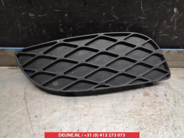 Toyota Yaris Stoßstangenrost O264623