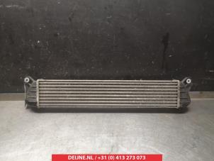 Suzuki SX-4 Ladeluftkühler O339337 foto 2