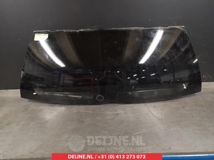 Mitsubishi Grandis Ruit achter O300796