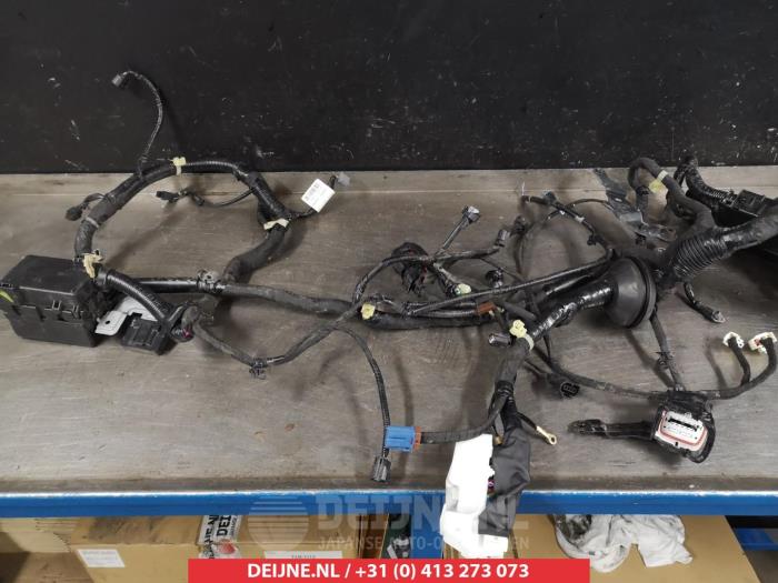 Nissan Pulsar Kabelboom motorruimte O385271