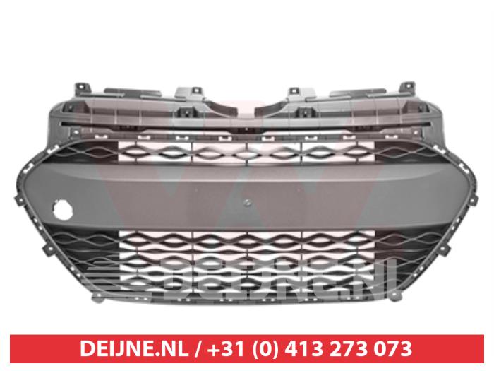 Hyundai I10 Bumper grille O9990000507