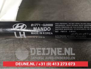 Hyundai Ioniq Rear gas strut, left O406408 photo 2