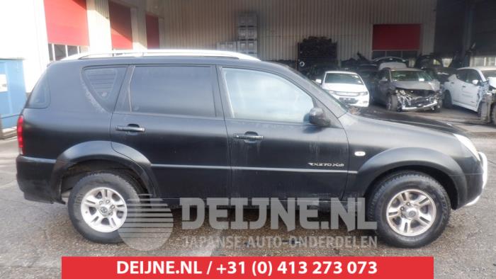 Ssang Yong Rexton Portierruit 4Deurs rechts-achter O449074