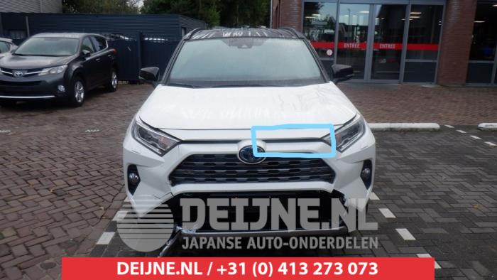 Toyota Rav-4 Grill O456825