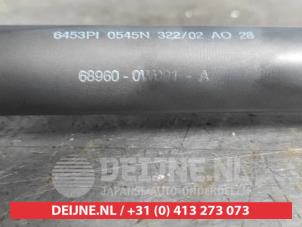 Toyota Corolla Verso Gasdämpfer links hinten O504056 foto 2