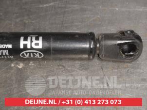 Kia Soul Bonnet gas strut, right O510438 photo 3