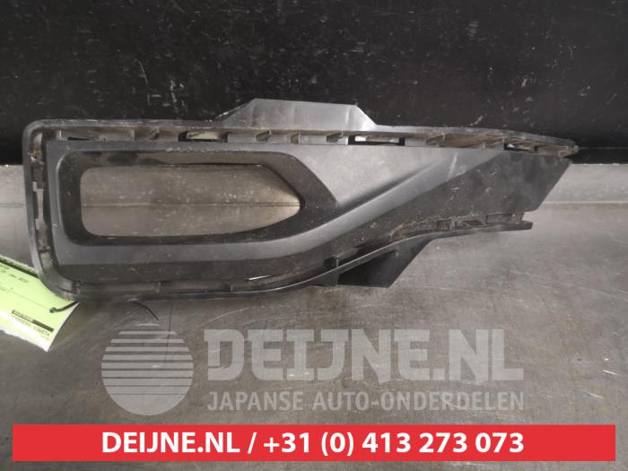 Nissan Leaf Stoßstangenrost O514046