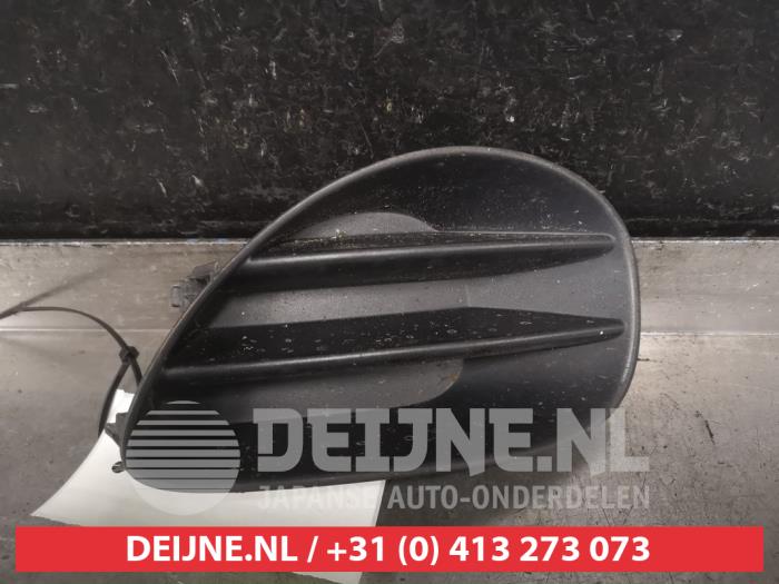 Toyota Yaris Stoßstangenrost O529337