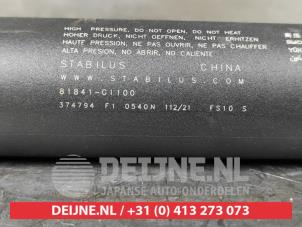 Hyundai Ioniq Gasdemper rechts-achter O534123 foto 2