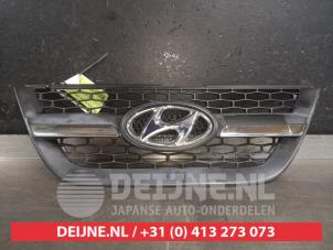 Gebruikte Grille Hyundai Atos 1.1 12V Prijs € 35,00 Margeregeling aangeboden door V.Deijne Jap.Auto-onderdelen BV