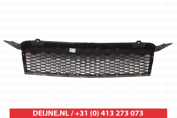 Chevrolet Aveo Grill O9990008283