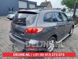 Hyundai Santafe Tür 4-türig rechts hinten O585019 foto 2