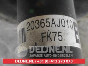 Subaru Legacy Stoßdämpferstrebe links hinten O590666 foto 2
