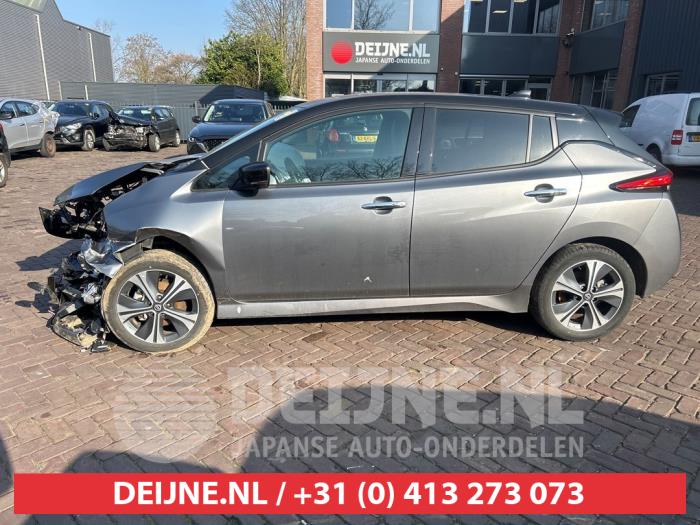 Nissan Leaf Portierruit 4Deurs links-voor O592282