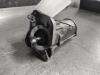 Startmotor van een Nissan Micra (K14), 2016 / 2025 1.5 dCi, Hatchback, Diesel, 1.461cc, 66kW (90pk), FWD, K9K628, 2016-12 / 2025-06, K14A 2018