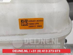 Kia Niro Expansievat O606581 foto 3