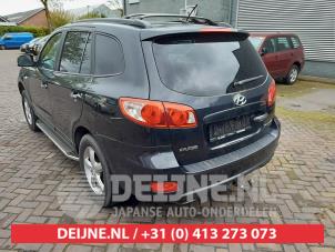 Hyundai Santafe Tailgate O611588 photo 2