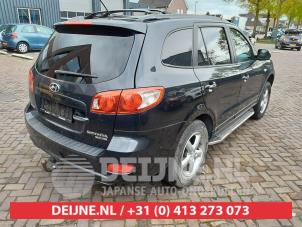 Hyundai Santafe Tailgate O611588 photo 3
