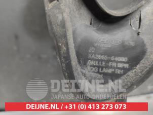 Kia Ceed Stoßstangenrost O615154 foto 2