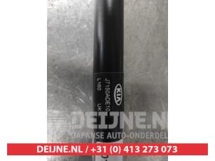 Kia Pro Ceed Hondenrek O615669 foto 3
