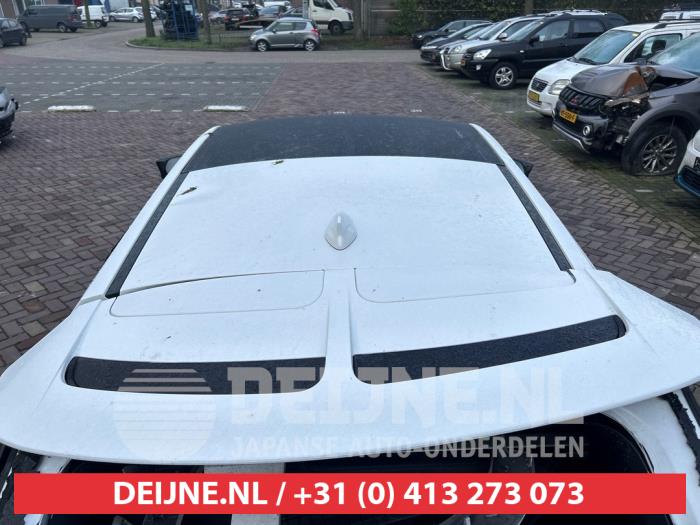 Kia EV6 Panoramadak O626404