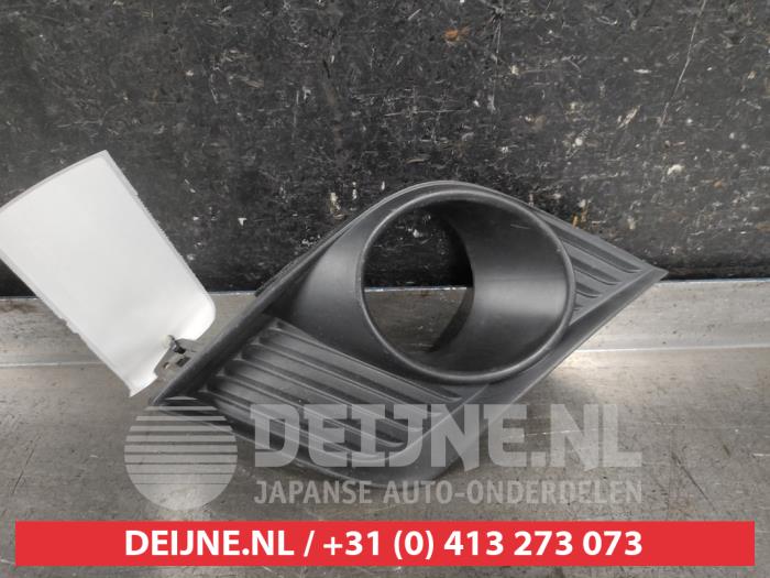 Lexus CT 200h Stoßstangenrost O640158