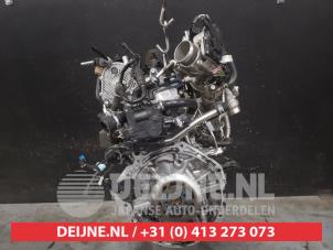 Gebruikte Motor Hyundai Bayon 1.0 T-GDI 12V Prijs € 1.750,00 Margeregeling aangeboden door V.Deijne Jap.Auto-onderdelen BV