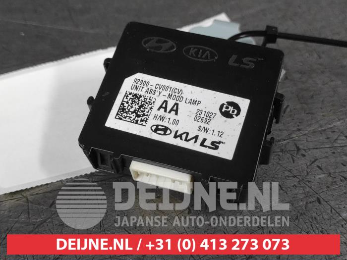 Kia EV6 Computer Verlichting O647210