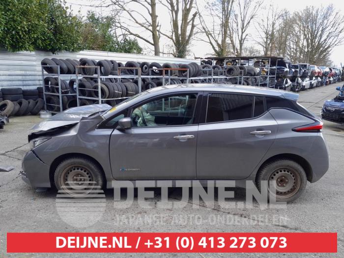 Nissan Leaf Portierruit 4Deurs links-voor O654940