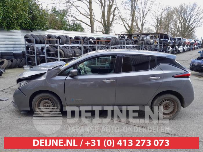 Nissan Leaf Portierruit 4Deurs links-achter O654944