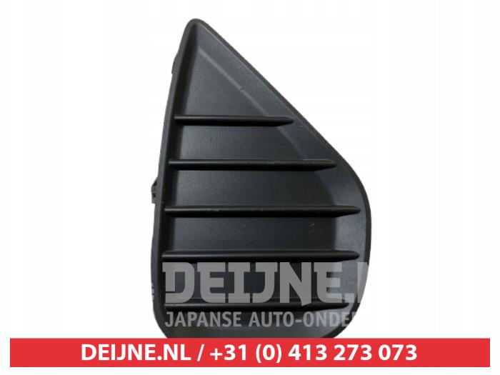 Toyota Yaris Stoßstangenrost O9990009315