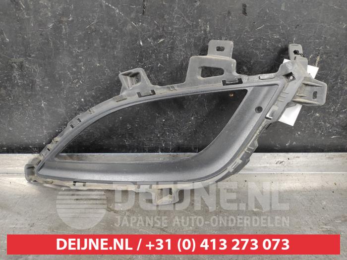 Hyundai I30 Stoßstangenrost O662012