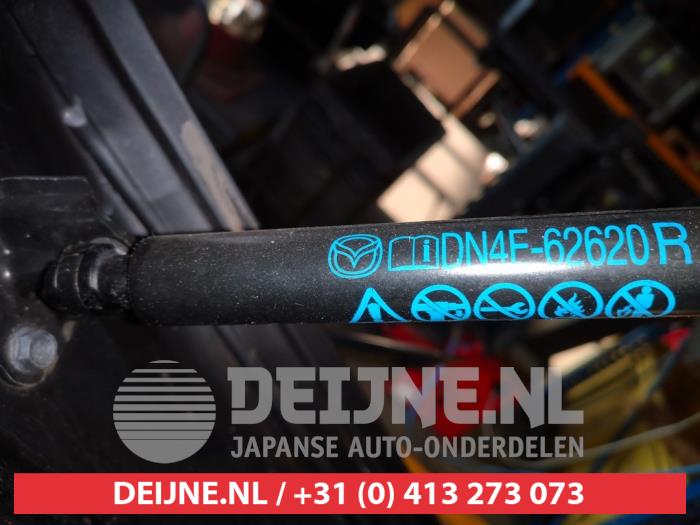Mazda MX-30 Gasdämpfer rechts hinten O662919