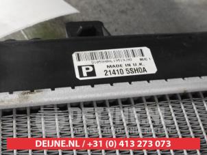 Nissan Leaf Radiator O678205 photo 3