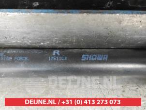 Suzuki Ignis Gasdämpfer rechts hinten O681867 foto 2
