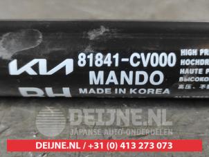 Kia EV6 Rear gas strut, right O682365 photo 2