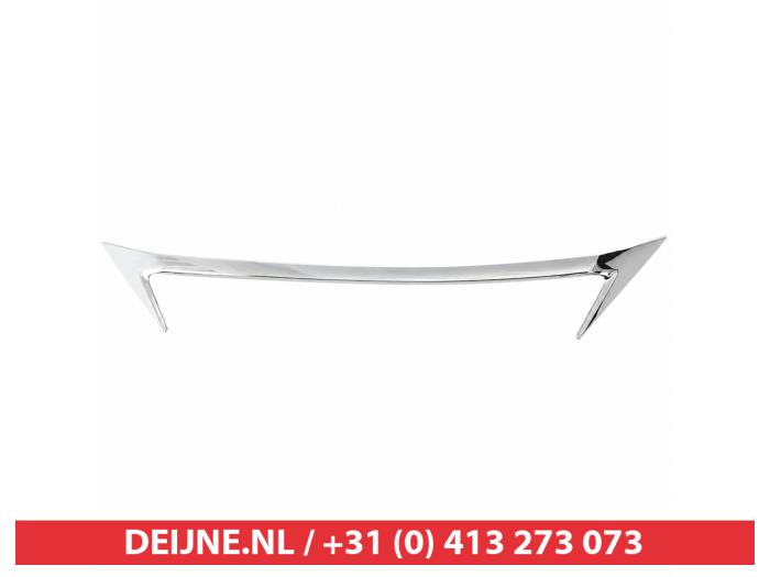 Lexus CT 200h Grille O9990009713