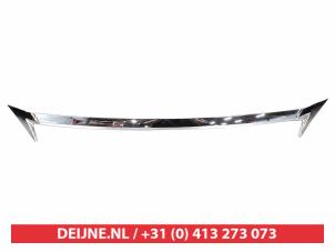 Lexus CT 200h Grille O9990009713 photo 2
