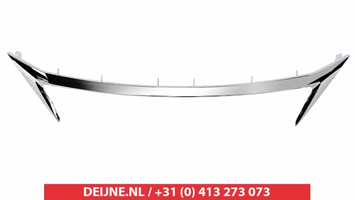Lexus CT 200h Grille O9990009712