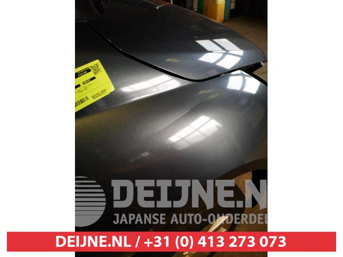 Mitsubishi Grandis Kotflügel rechts vorne O703971