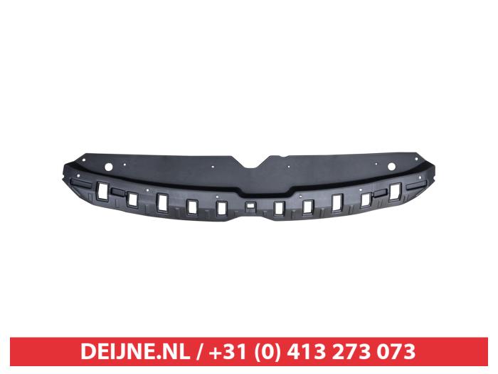 Hyundai I20 Stoßstangenleiste Mitte vorne O9990009915