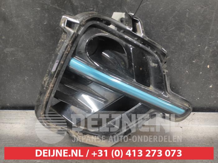 Kia Niro Stoßstangenrost O718012