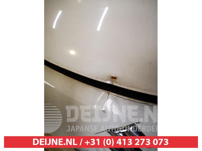 Suzuki Alto Motorkap O718476