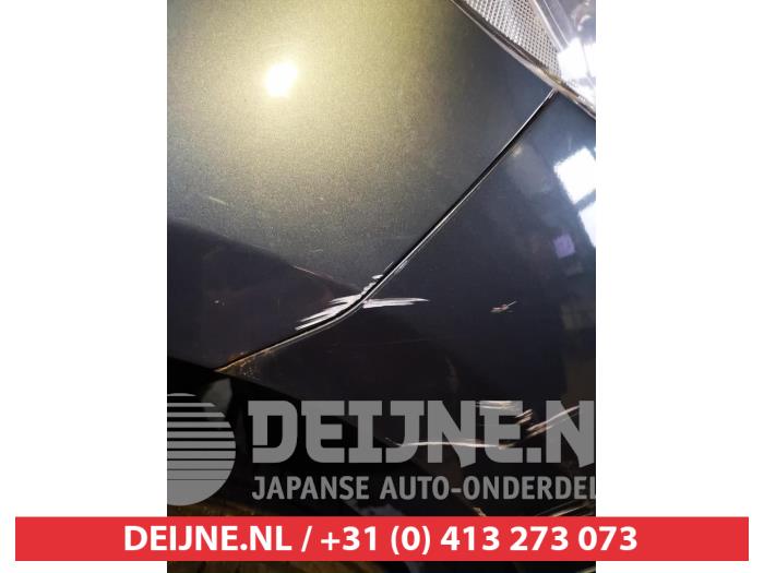 Nissan Micra Kotflügel rechts vorne O721705