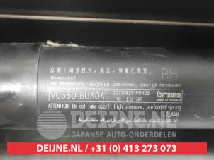 Nissan Qashqai Gasdemper rechts-achter O723635 foto 2