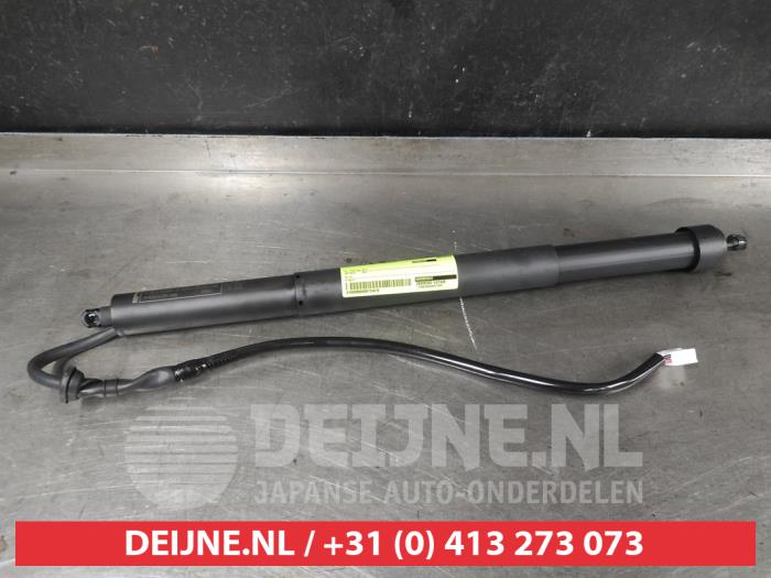 Toyota Yaris Cross Gasdämpfer links hinten O724410